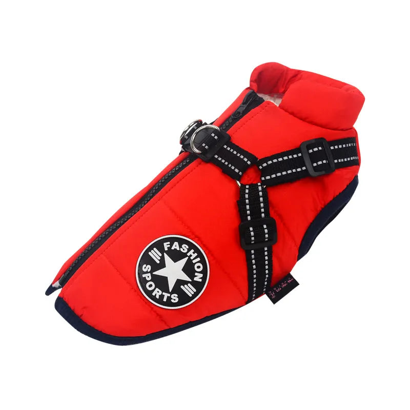 PawsDry™ | Keep Your Dog Warm and Dry