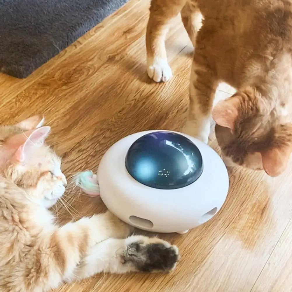 PurrFly™ | Cheerful and Active Toy