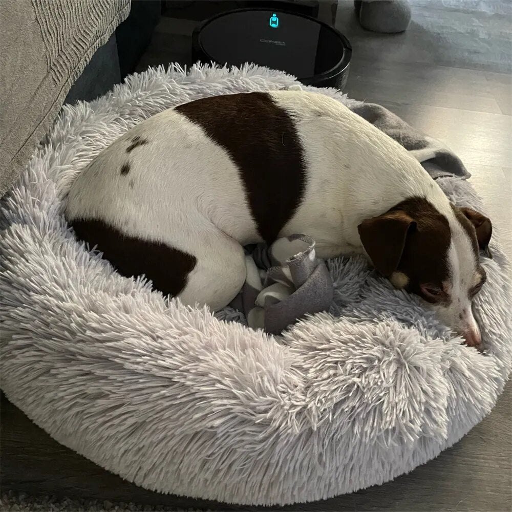 CozyPluche™ | Ultimate Comfort and Cuddle Soft