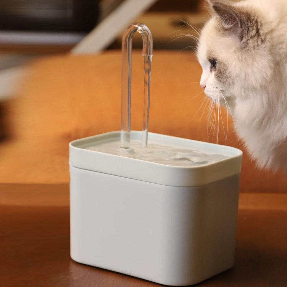 AquaWhisk™ | The Ultimate Hydration
