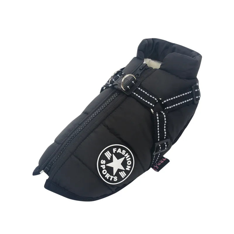 PawsDry™ | Keep Your Dog Warm and Dry