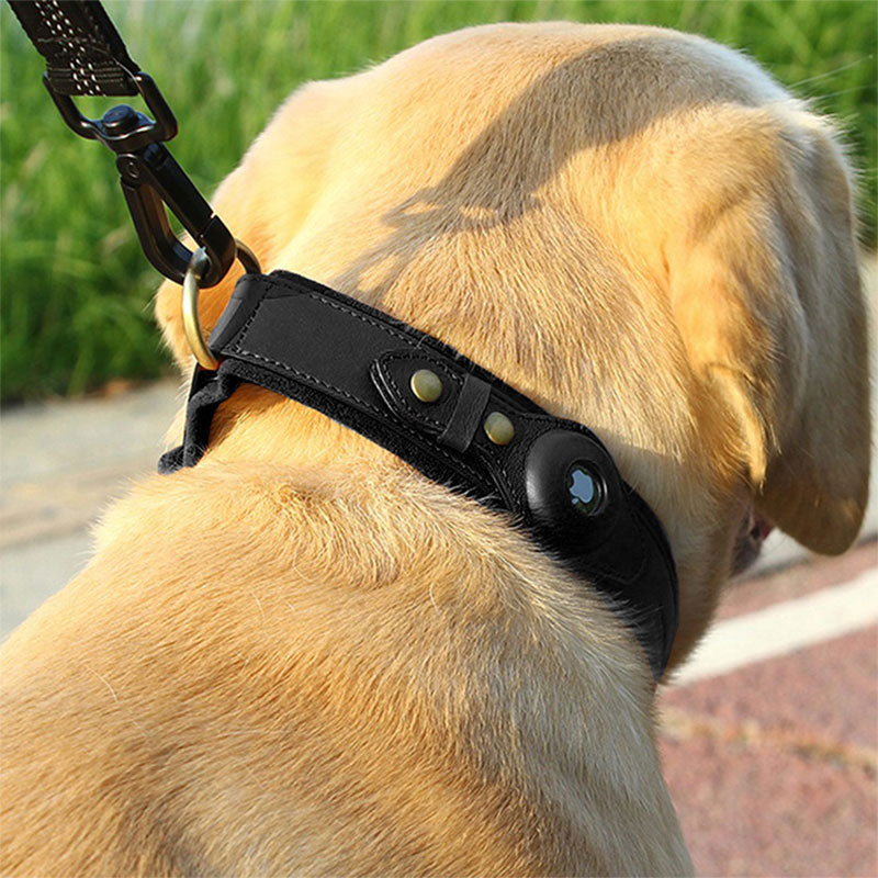 TrackMate™ | Real-Time Tracking Collar
