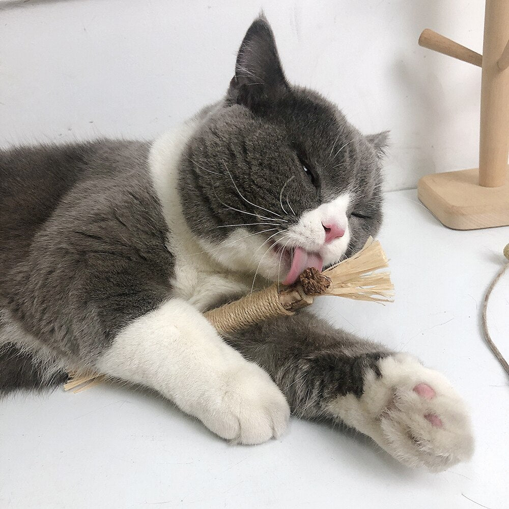 KittyBliss™ | For healthy nails without clipping