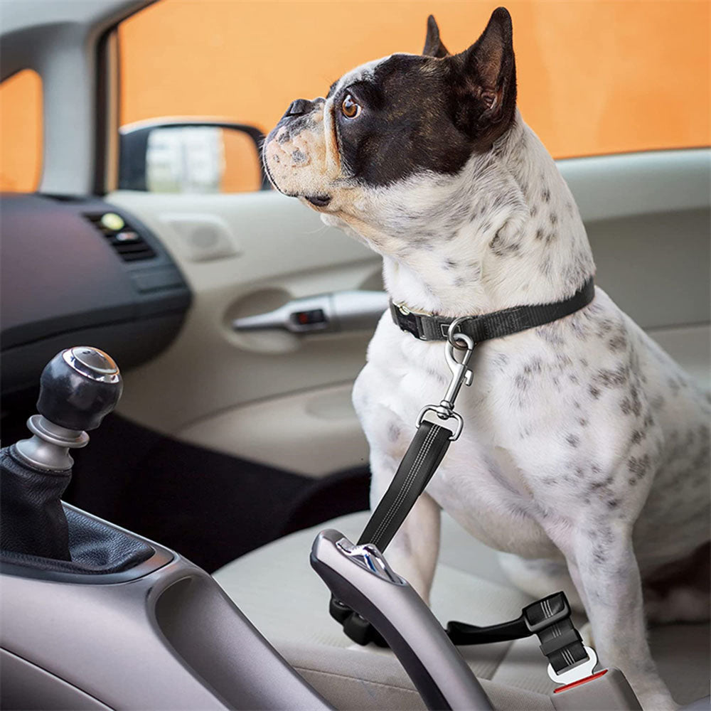 PetGuard Belt™ | Travel Safely with Your Dog