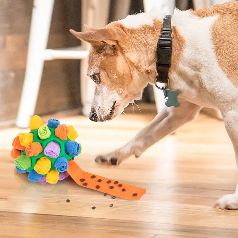 SnuffelBal™ | Interactive Puzzle Ball