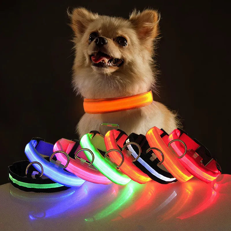 GlowDog™ | Reduce Anxiety About Collisions