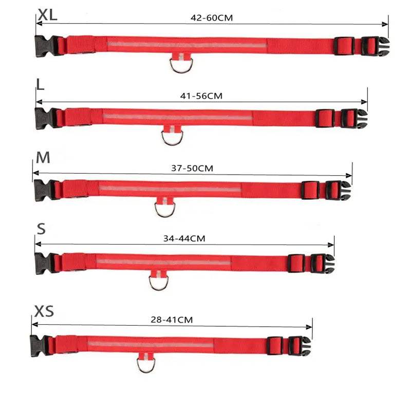 GlowDog™ | Reduce Anxiety About Collisions