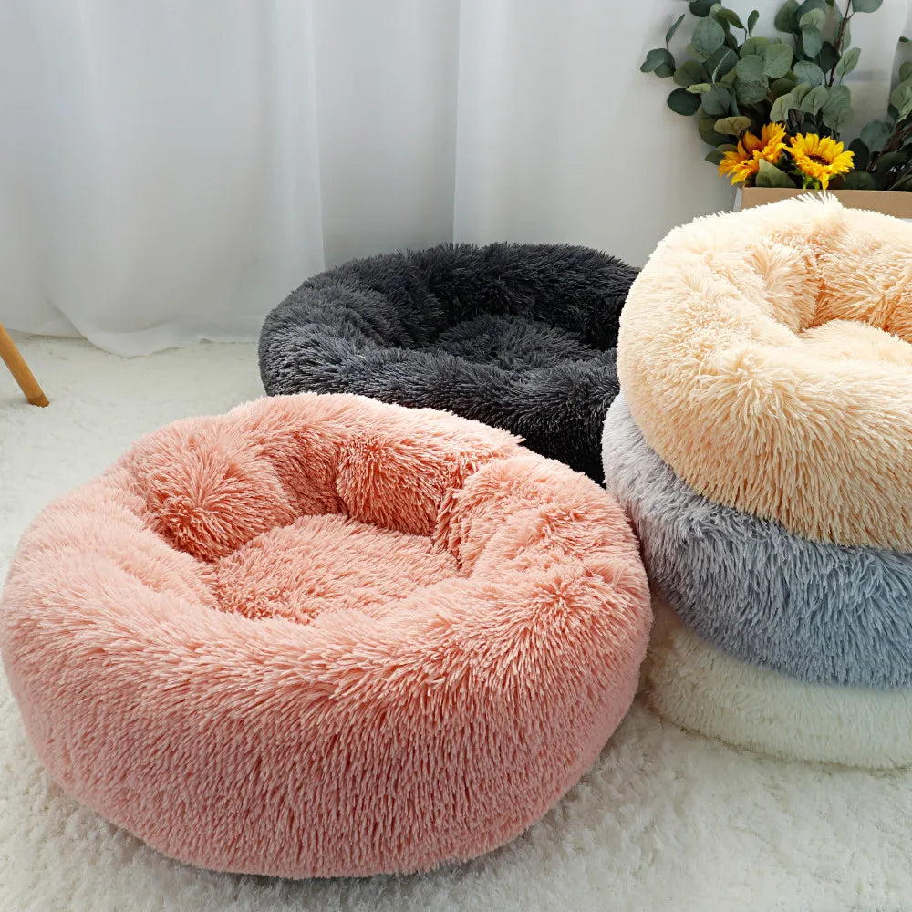 CozyPluche™ | Ultimate Comfort and Cuddle Soft