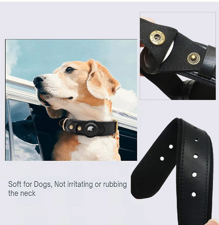 TrackMate™ | Real-Time Tracking Collar
