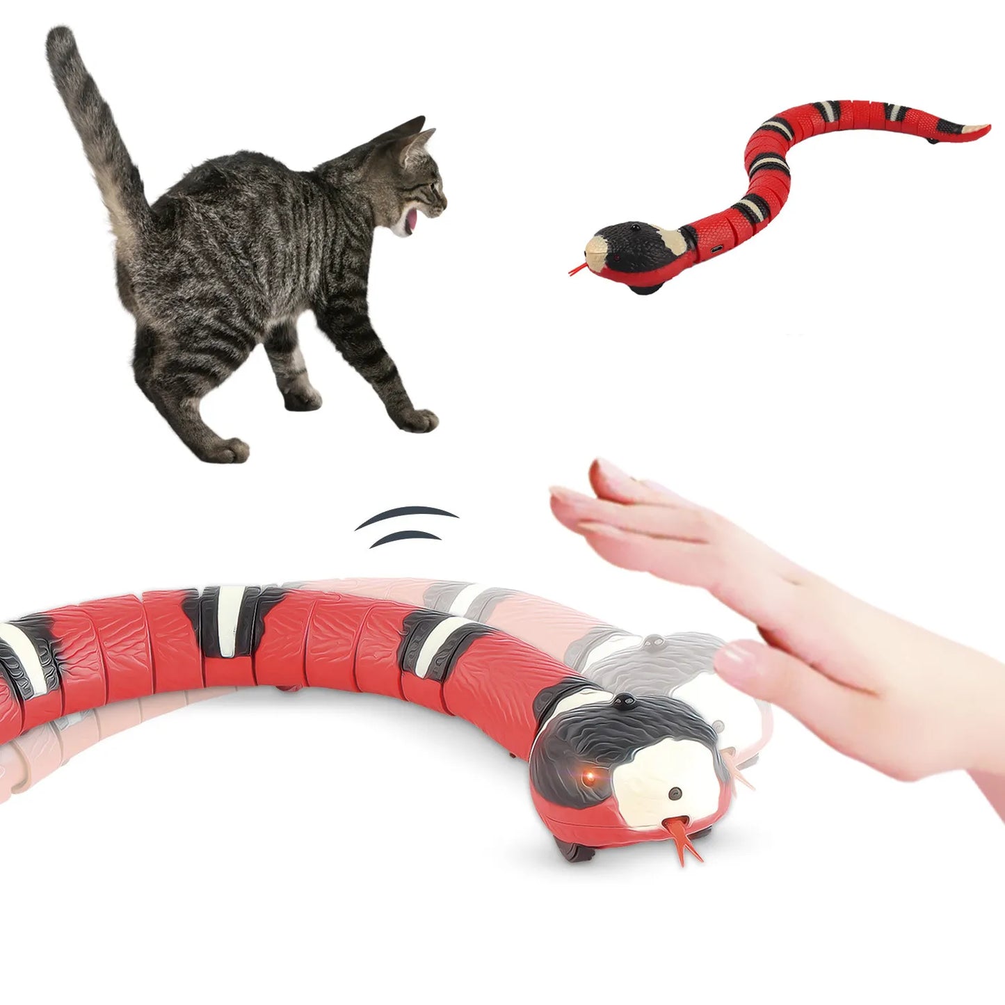 PawSpeel | Interactive fun for pets