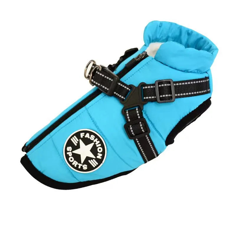 PawsDry™ | Keep Your Dog Warm and Dry
