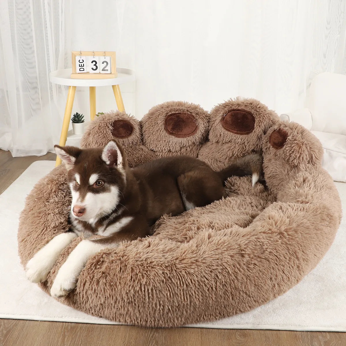 PawSnooze™ | Ensures Peace and Less Damage at Home