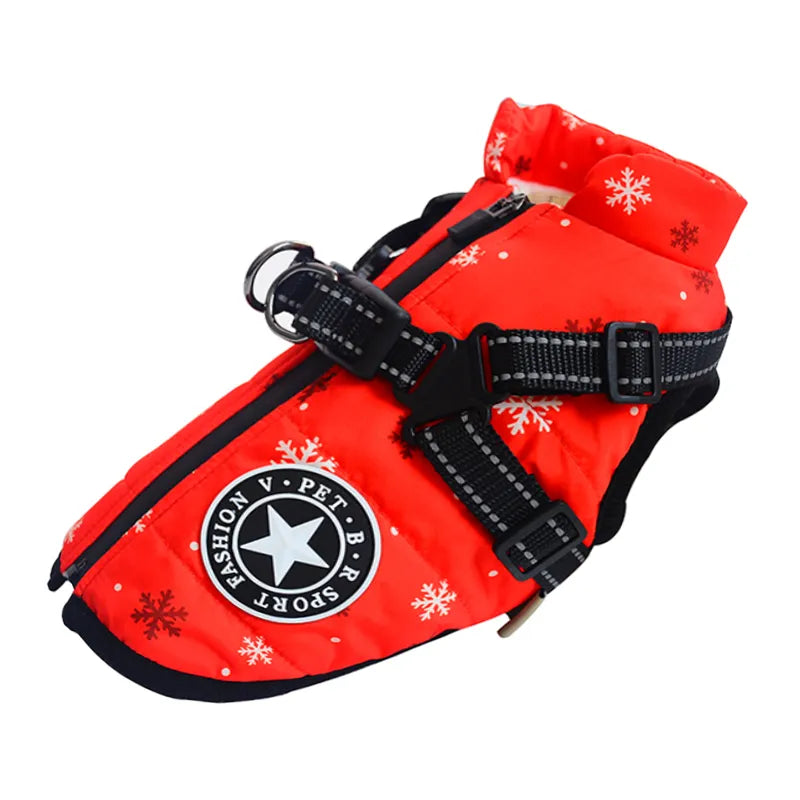 PawsDry™ | Keep Your Dog Warm and Dry