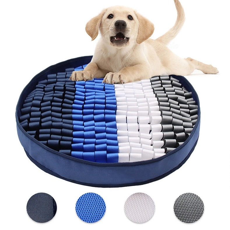 FlavorFind™ | Dog Interactive Snuffle Mat