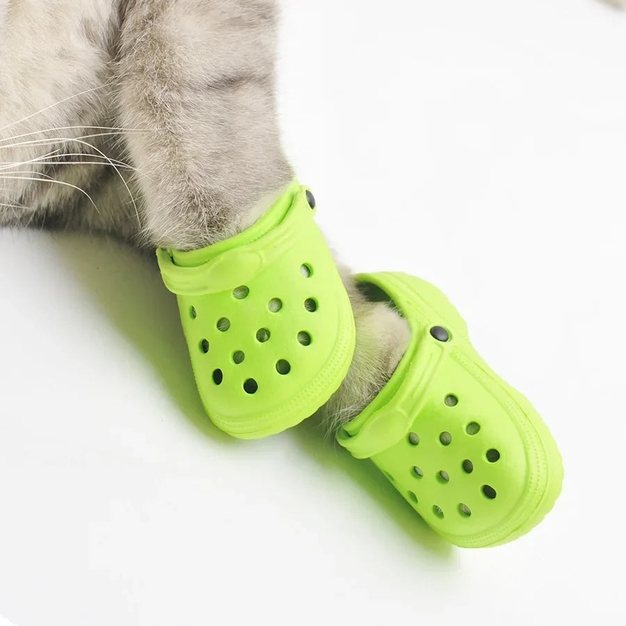 Pawlet™ | No more sores and cracks