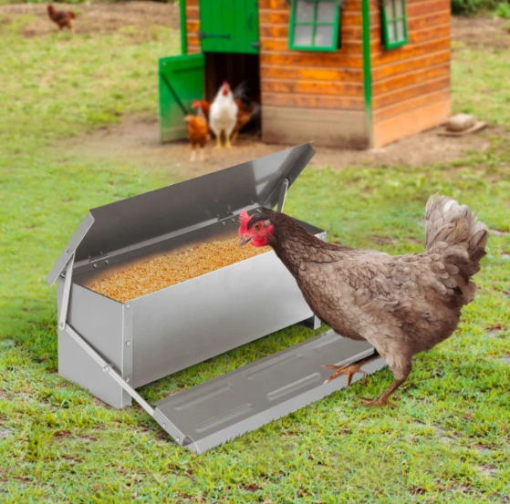 FeedForte™ | Always access to fresh feed