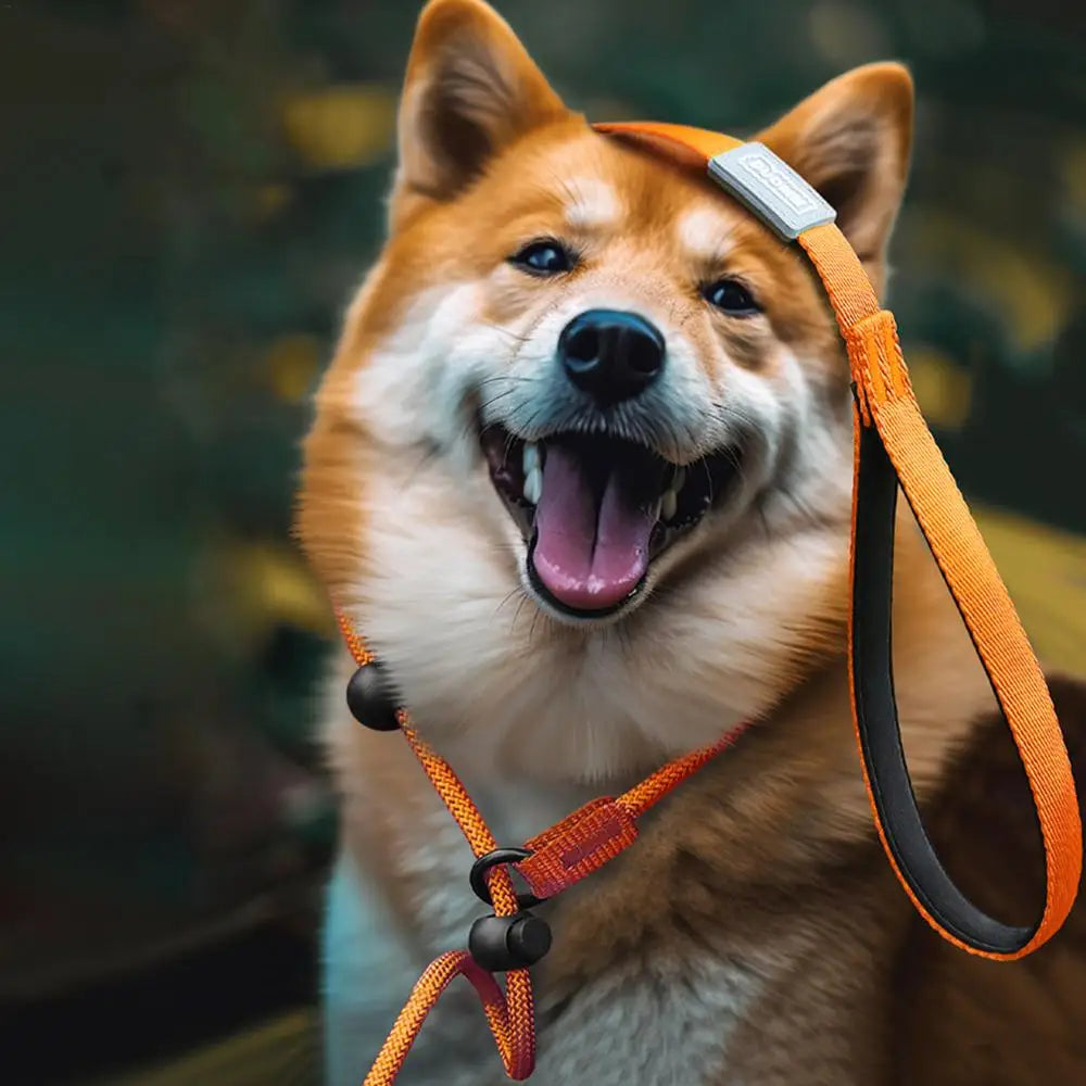 ComfiStep™ | All-in-One Training and Walking Lead