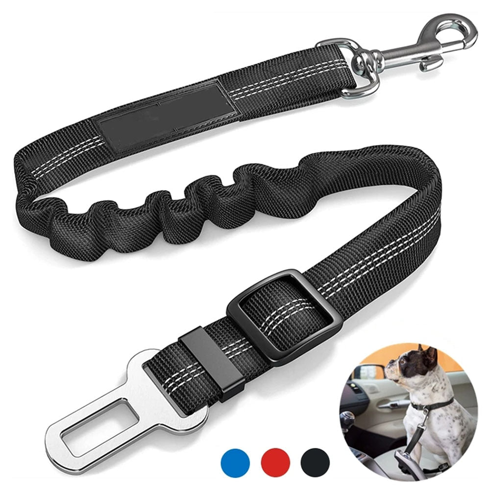 PetGuard Belt™ | Travel Safely with Your Dog