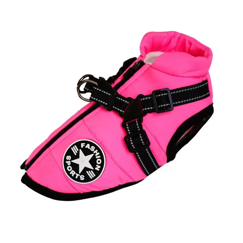PawsDry™ | Keep Your Dog Warm and Dry
