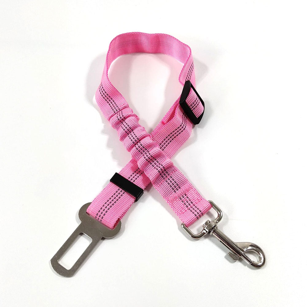 PetGuard Belt™ | Travel Safely with Your Dog