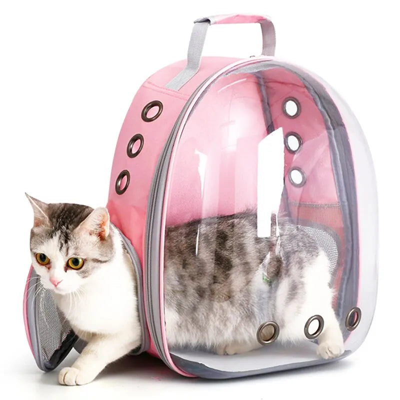 KittyCabin™ | Travel with Peace of Mind