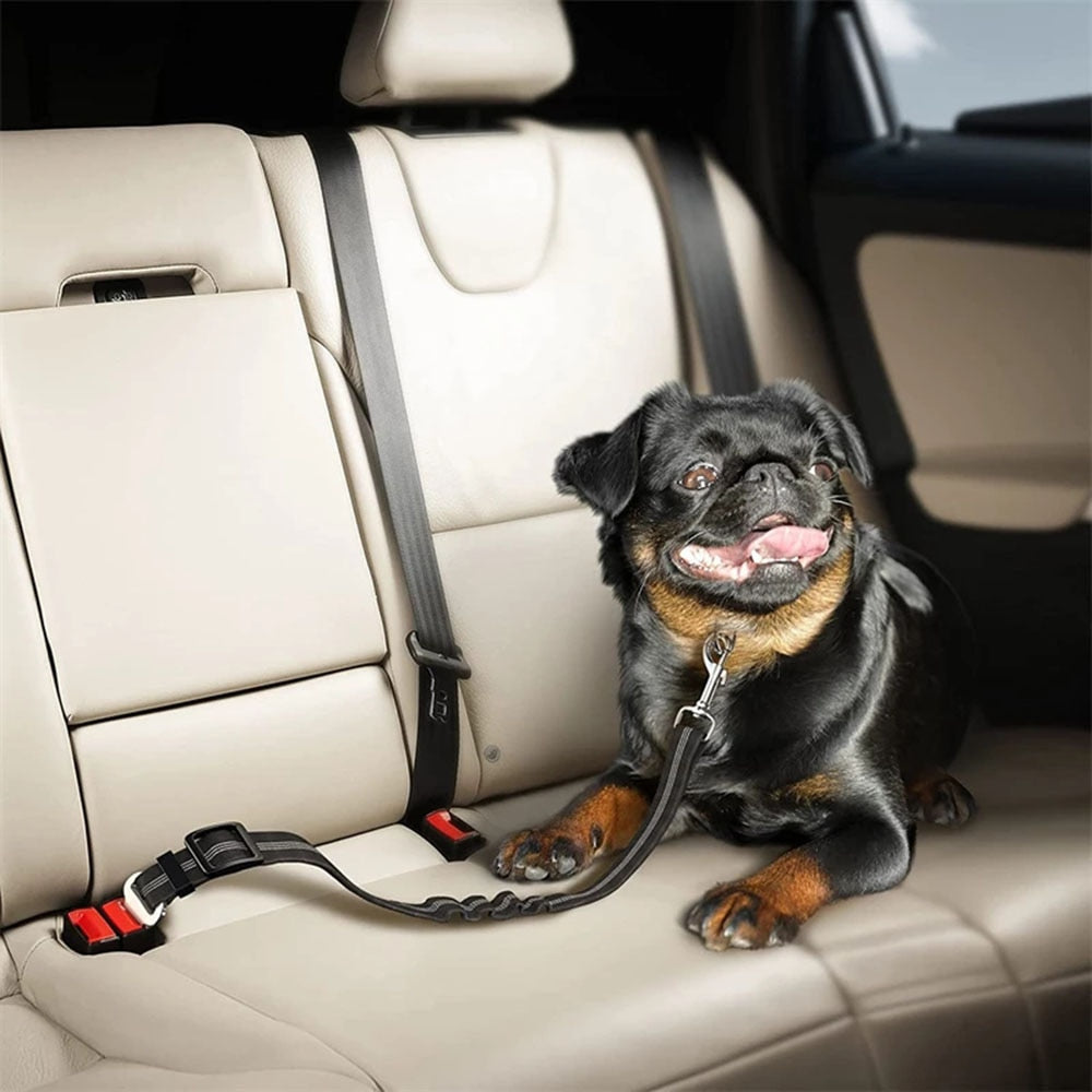 PetGuard Belt™ | Travel Safely with Your Dog