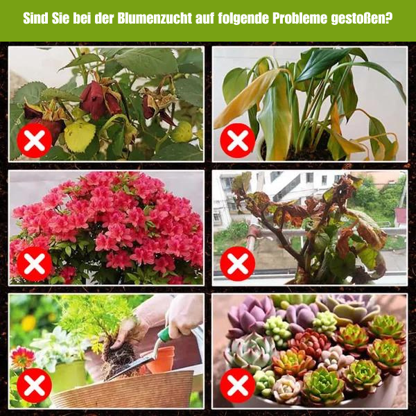 Planten Groei Versterker Supplement