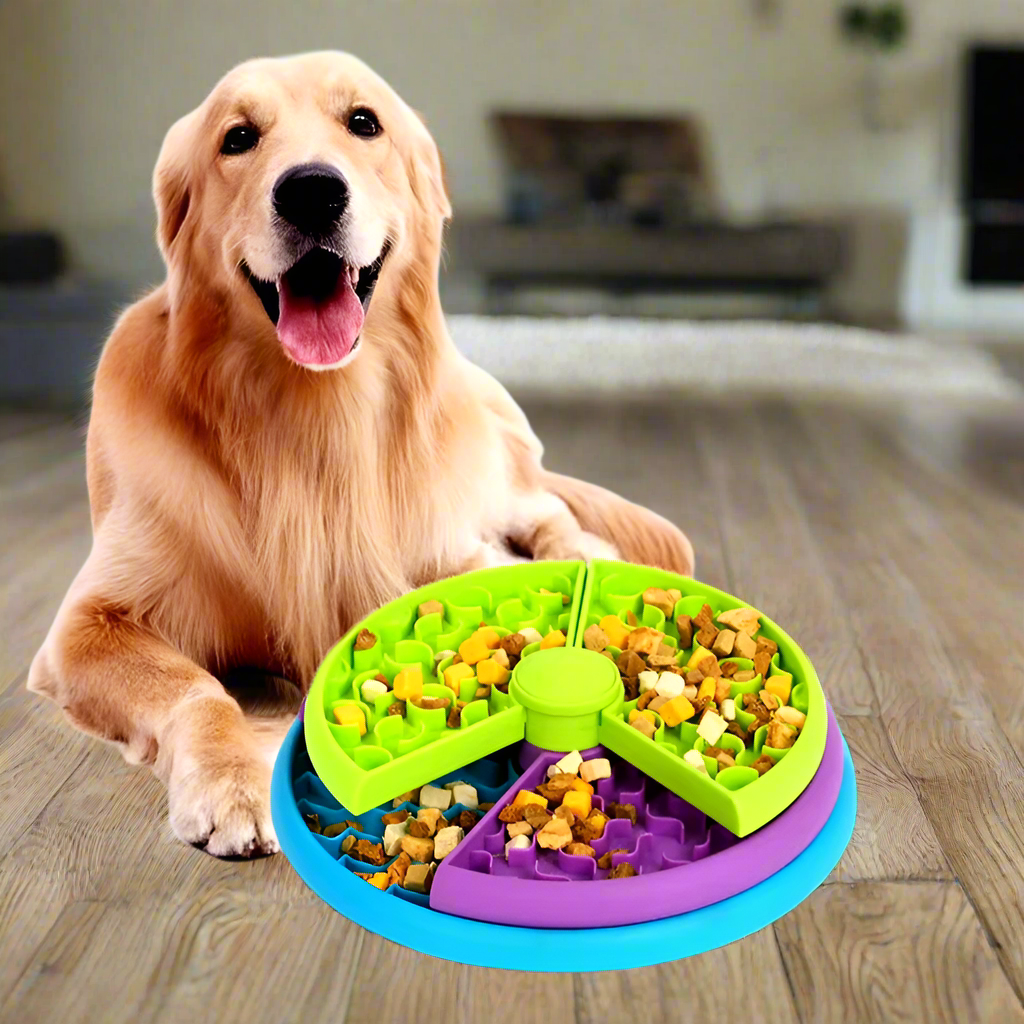 SlowFeedie™ | Playful Feeding for Slower and Healthier Eating
