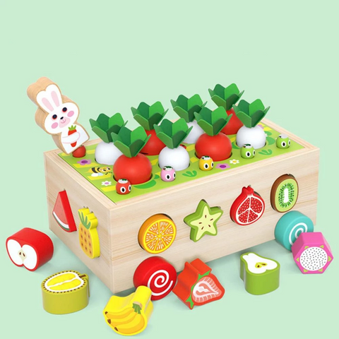 GardenShapesSort - Promotes Recognition and Skills