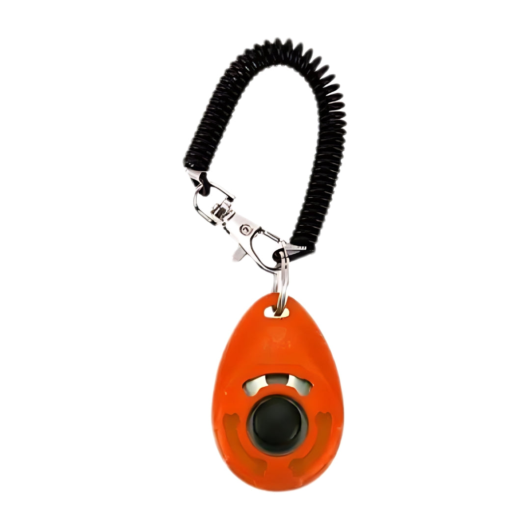 Clickzy™ | Clear Click, Quick Training!