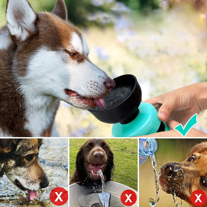 AquaPup™ | Water Bottle for Pets