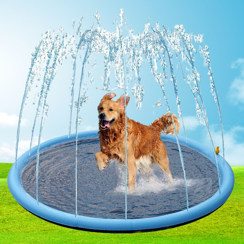 AquaBuddy™ | Your backyard water paradise!