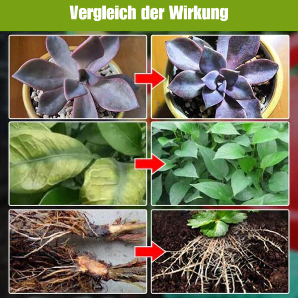 Planten Groei Versterker Supplement