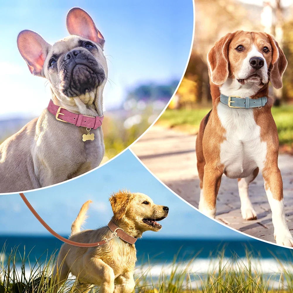 PrimePaw™ | Stylische Lederhalsband
