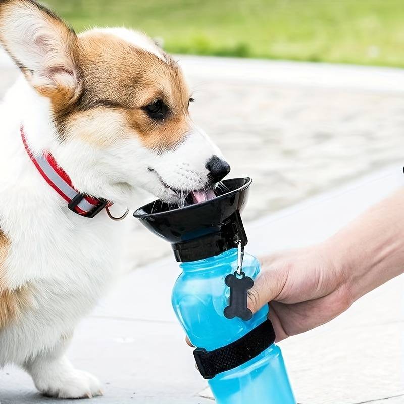 AquaPup™ | Water Bottle for Pets