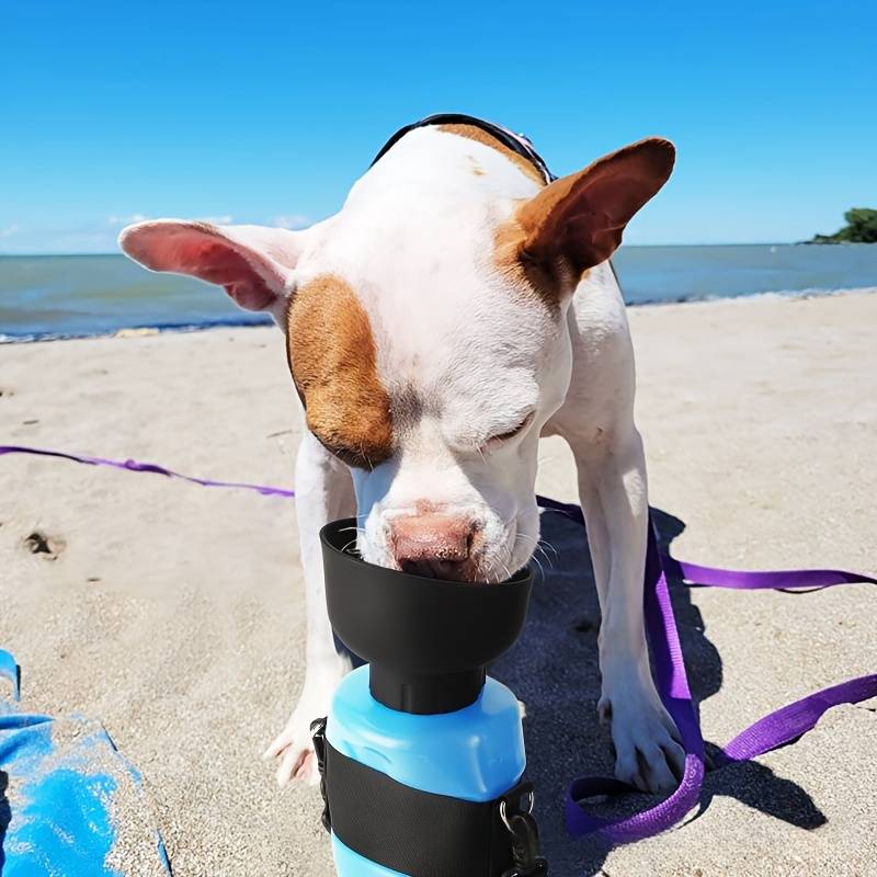 AquaPup™ | Water Bottle for Pets