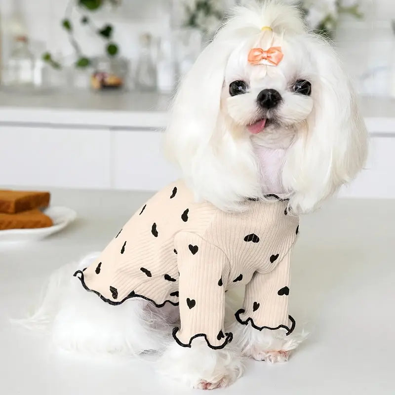 PawPoo™ | A gesture of love for your dog