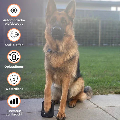 BarkBuster™ | Control Barking Behaviour Directly and Stress-Free