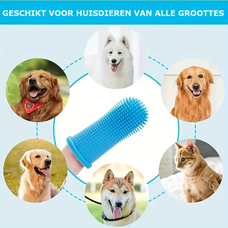 WoofWiper™ | Fresh Breath and Dental Care