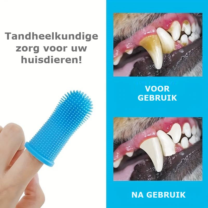 WoofWiper™ | Fresh Breath and Dental Care