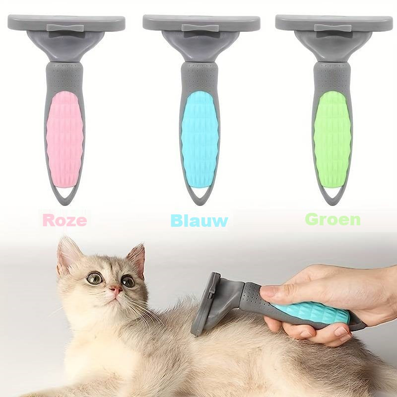 Purrify™ | Radiant Coats Without Stress