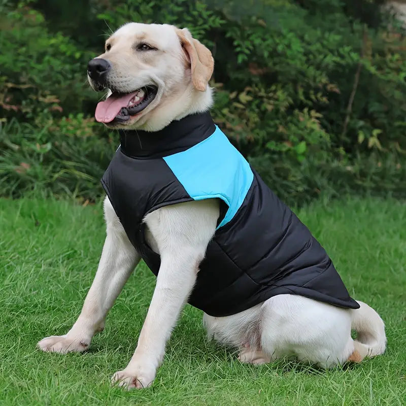 CoatPals™ | No more stress about rain and cold