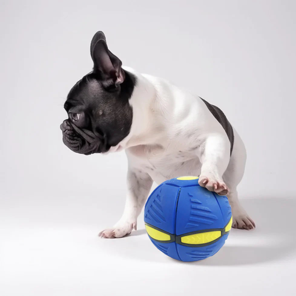 Magicball™ | Prevent Fear Through Healthy Exercise