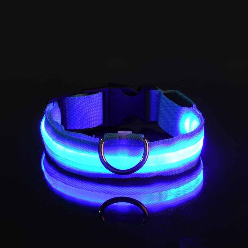 GlowDog™ | Reduce Anxiety About Collisions