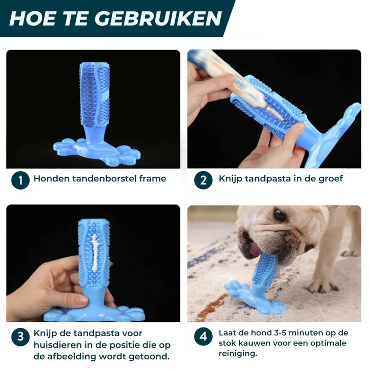 BrushPup™ | Sparkling Dog Dental Care in One Toy