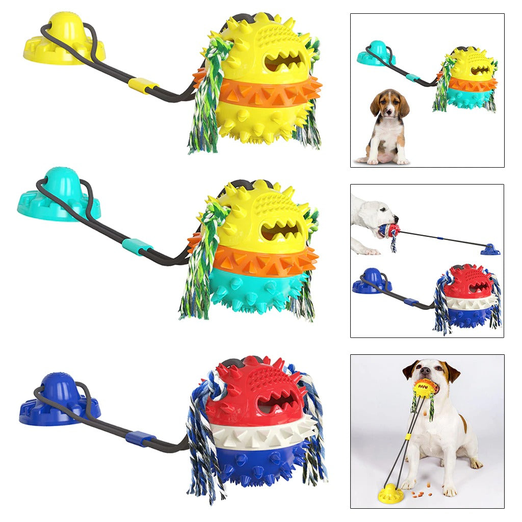 Clawzy™ | For Active Pets