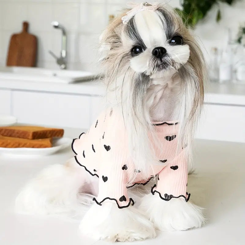 PawPoo™ | A gesture of love for your dog