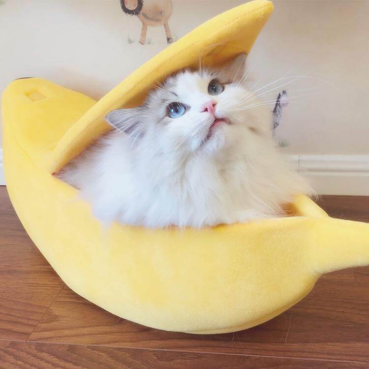 Bananabed™ | For Peaceful Sleep and Scratch-Free Furniture