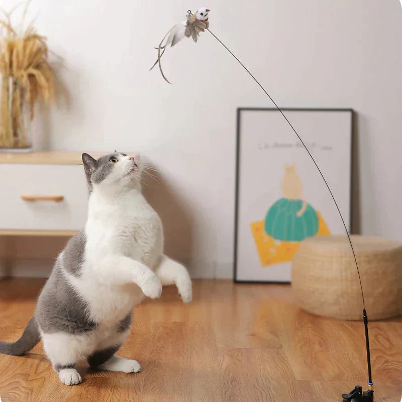 CatCatch™ | Keep Your Cat Active and Your Furniture Safe