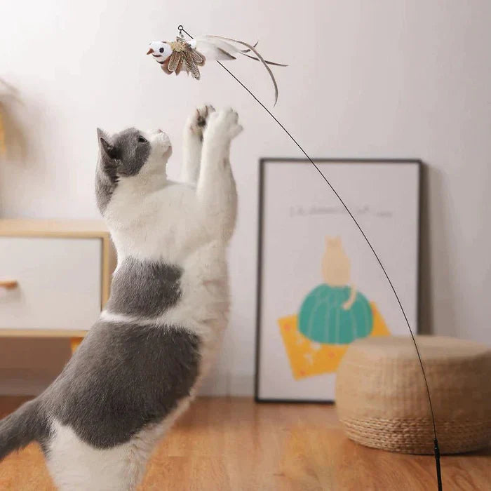 CatCatch™ | Keep Your Cat Active and Your Furniture Safe